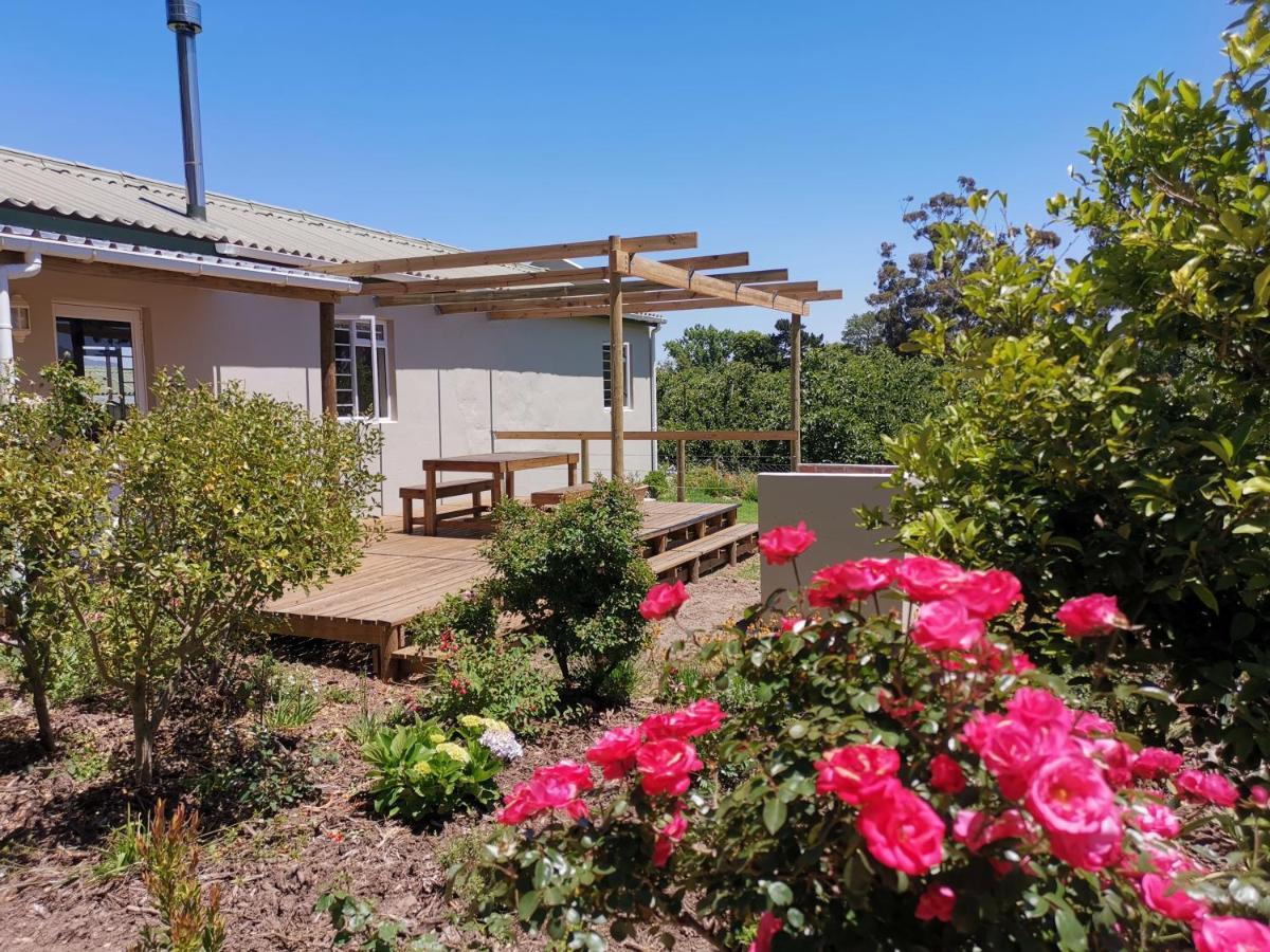 Moortop Farm stay Elgin (Western Cape)