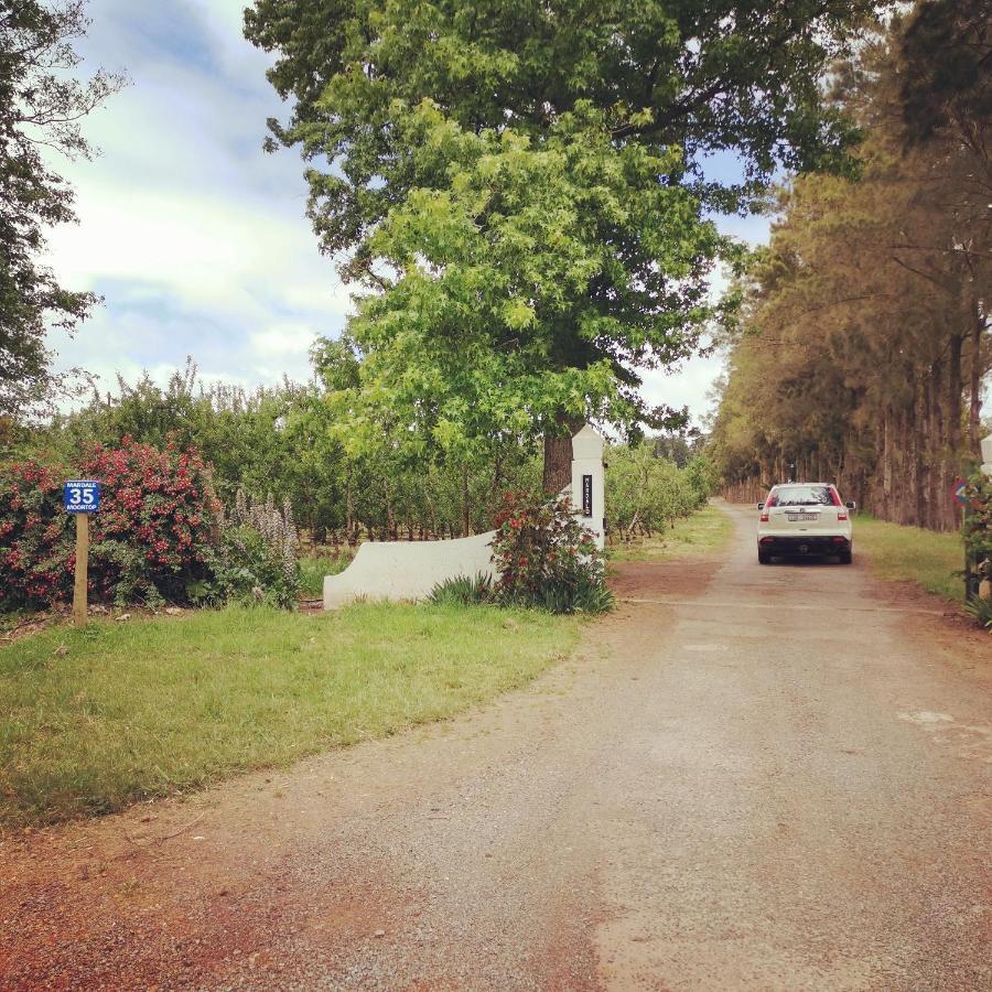 Moortop Farm stay Elgin (Western Cape)